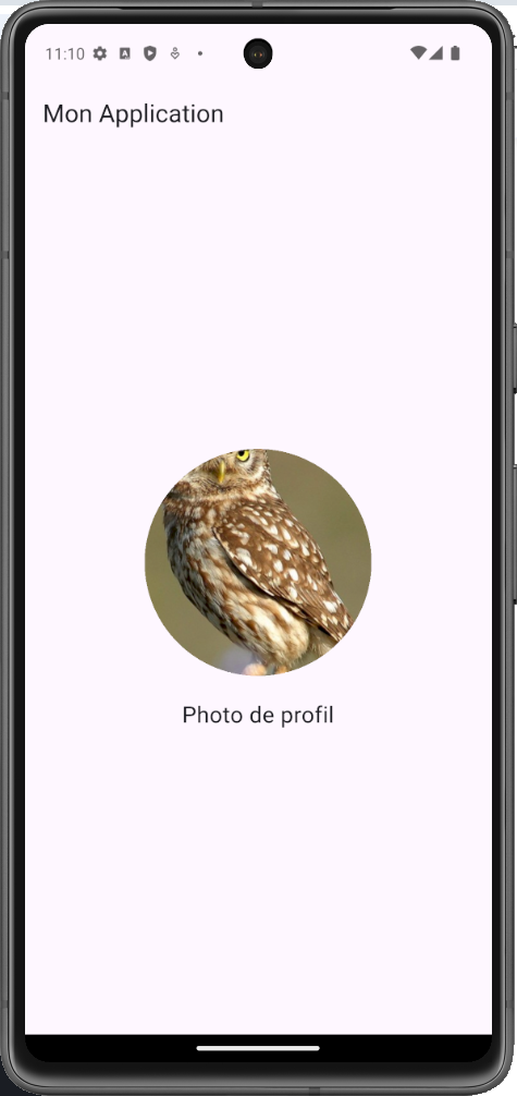 Exemple CircleAvatar Flutter