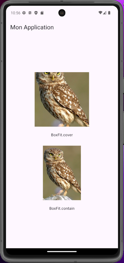 Comparaison visuelle entre BoxFit.cover et BoxFit.contain