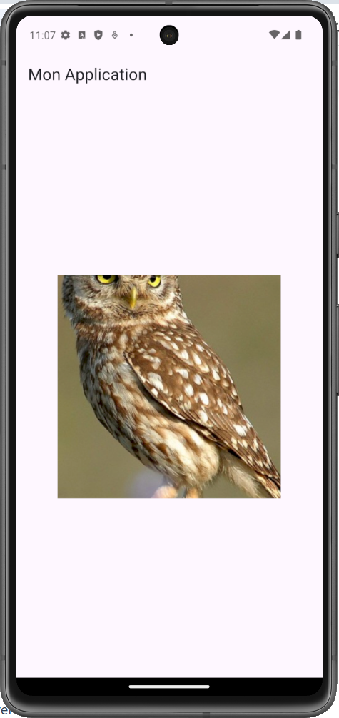 Exemple d'utilisation de Image.network dans Flutter
