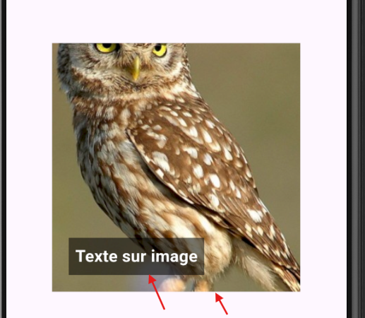 Exemple Stack texte sur image Flutter