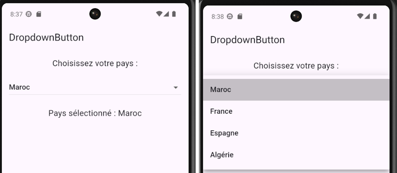 Exemple DropdownButton Flutter