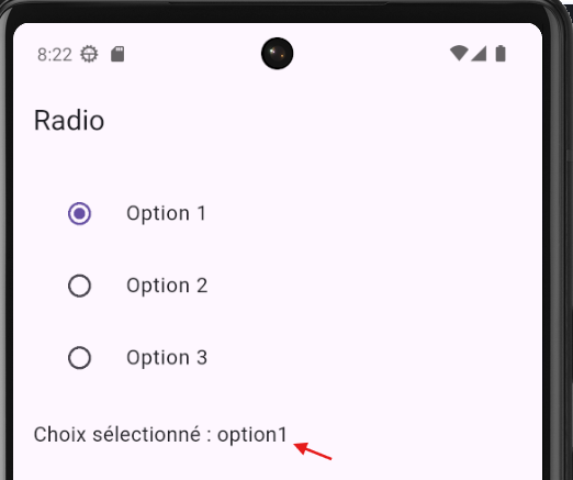 Exemple Radio Flutter