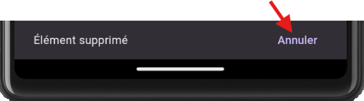 Exemple SnackBar avec action Flutter