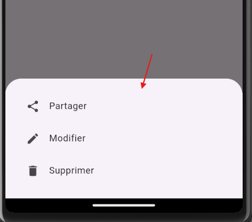 Exemple BottomSheet avec options Flutter
